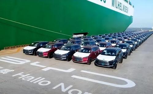 比亚迪吃瓜爆料视频