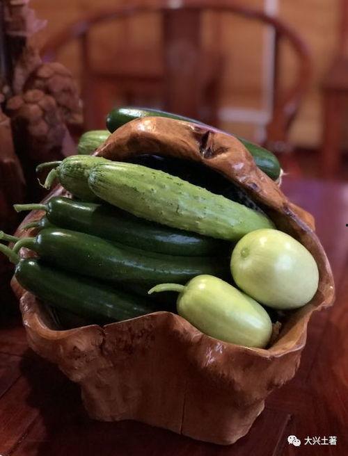 网红吃瓜视频的特点,娱乐狂欢背后的真相与争议