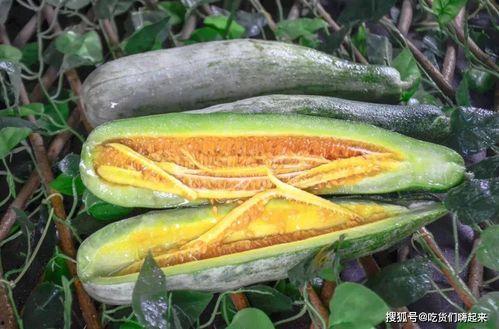 网红吃瓜视频的特点,娱乐狂欢背后的真相与争议