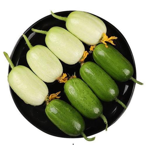 锤头瓜怎样吃最好吃视频