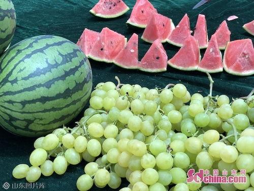 寿光西城吃瓜视频在线,一场夏日里的欢乐盛宴