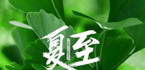 夏至吃瓜的视频,跟随视频探寻传统习俗的甜蜜时光
