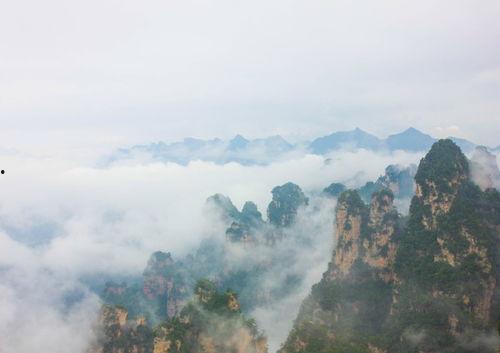 张家界吃瓜爆料事件视频,视频揭秘事件背后真相