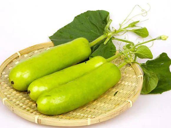 瓠瓜怎么熬着吃啊视频,家常熬瓜新体验