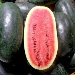 吃瓜视频在哪里有版权啊,吃瓜视频版权归属之谜