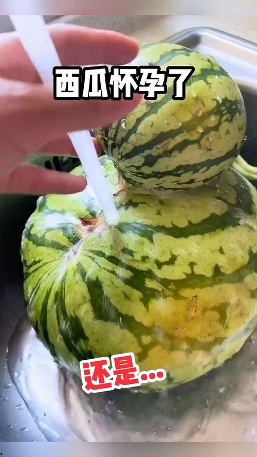 吃八卦瓜搞笑视频大全,让你笑到肚子疼