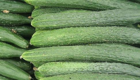 吃瓜一个多小时视频,一小时内深度解析热门视频