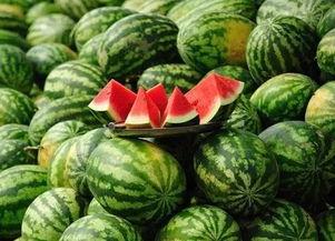 西安热门吃瓜事件视频,视频揭秘背后的真相与热议