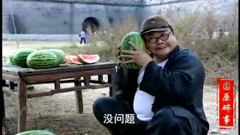 吃瓜事件搞笑视频大全播放,笑到肚子疼！