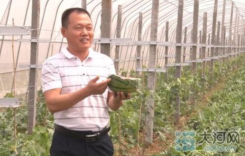 吃瓜山东村书记原视频,一场引人入胜的乡村风云录