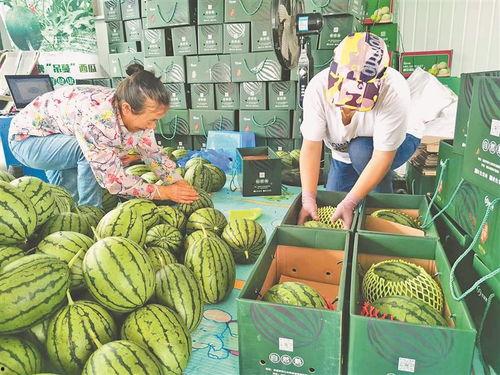 新沂近期吃瓜事件视频,揭秘背后真相与网络舆论风暴