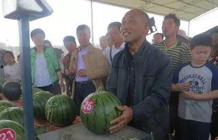 定远吃瓜群众事件视频曝光,视频曝光揭示惊人真相