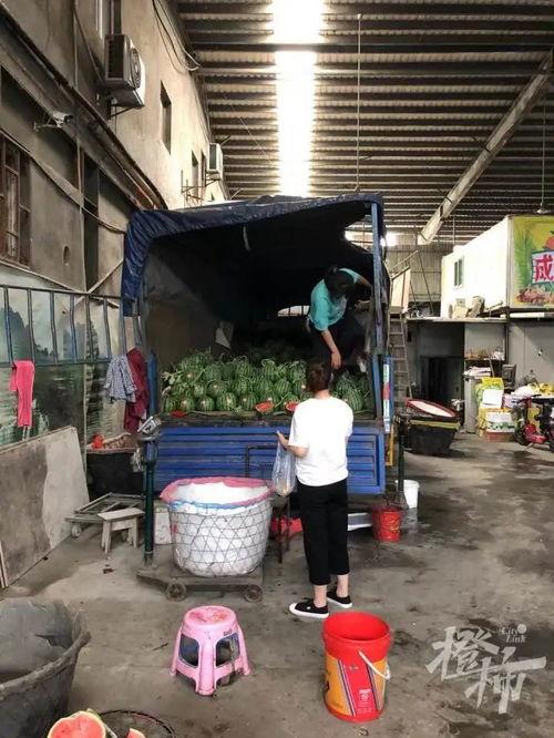 定远吃瓜群众事件视频曝光,视频曝光揭示惊人真相