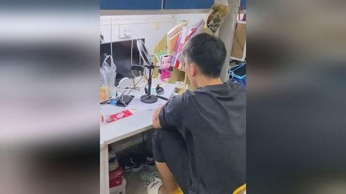 全网吃瓜群视频,揭秘娱乐圈幕后真相