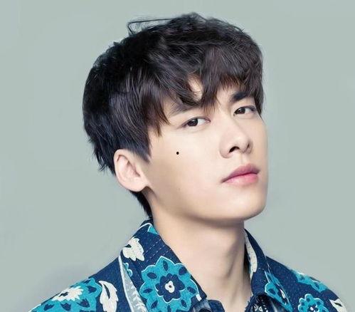 吃瓜直播李易峰视频,揭秘娱乐圈幕后故事