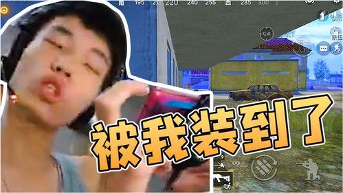 主播吃瓜鲨鱼是真的吗视频,主播吃瓜鲨鱼事件真相大起底