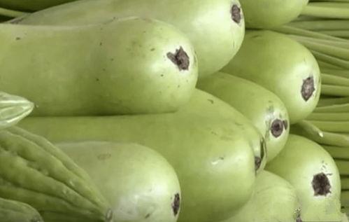 长葫芦瓜吃要削皮吗视频,长葫芦瓜食用前的去皮技巧揭秘