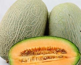 燕子吃哈密瓜会死吗视频