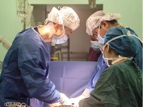 男子吃瓜肠梗阻视频,紧急救治过程曝光