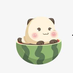 吃瓜小熊西瓜视频大全,趣味横生的夏日盛宴