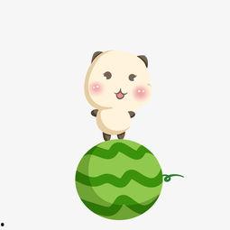 吃瓜小熊西瓜视频大全,趣味横生的夏日盛宴