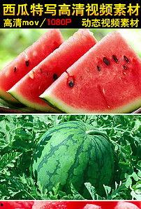 吃瓜视频素材下载网站大全