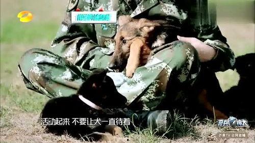 兵哥哥吃瓜搞笑视频,军营生活趣味横生