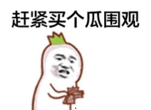 吃瓜群众九分钟视频大全,揭秘热门视频背后的故事