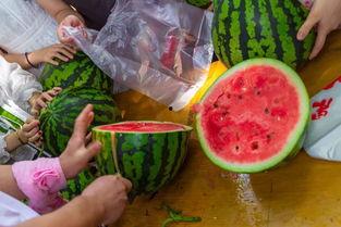 浙江吃瓜最新视频,揭秘当地美食文化，带你领略地道风味