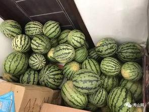 浙江吃瓜最新视频,揭秘当地美食文化，带你领略地道风味