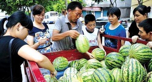 卖瓜的吃瓜视频在线观看,揭秘卖瓜吃瓜视频背后的真实故事