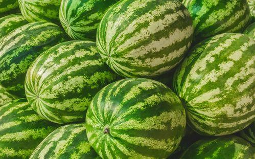 吃瓜视频到哪儿找,吃瓜视频热门内容，带你轻松找到精彩瞬间