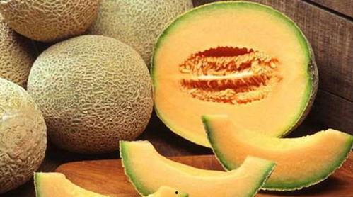 八个月宝宝吃哈密瓜视频,八个月宝宝品尝哈密瓜的甜蜜瞬间