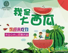 北湖公园吃瓜事件视频,一场引发热议的公共行为争议