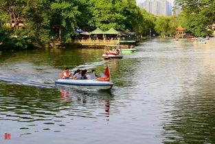 北湖公园吃瓜事件视频,一场引发热议的公共行为争议