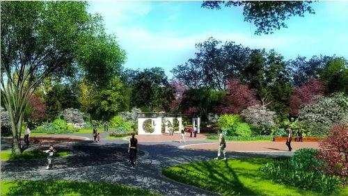 北湖公园吃瓜事件视频,一场引发热议的公共行为争议