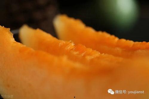 一个认真吃瓜视频大全,一网打尽年度爆笑视频大全