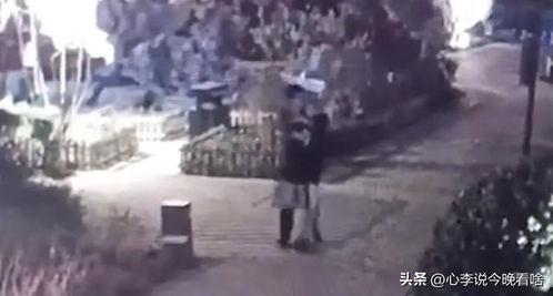 欣旺达吃瓜视频完整版,揭秘公司内部惊人真相