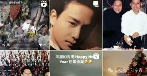 王小炮吃瓜视频大全集下载,揭秘娱乐圈幕后故事