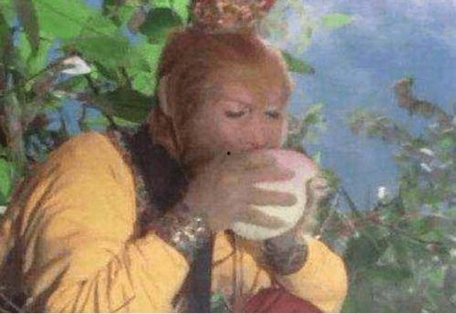 孙悟空吃瓜视频大全,笑料横生，欢乐无限