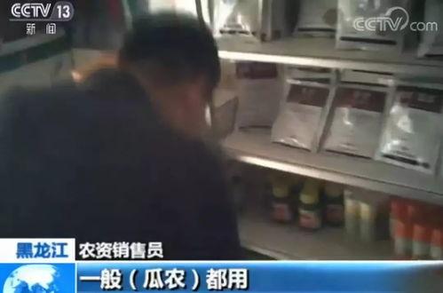 岳阳最新吃瓜事件视频曝光,视频曝光揭示惊人真相