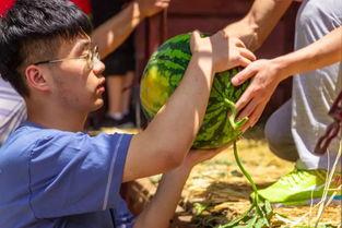 吃瓜视频资源大学长椅,吃瓜视频中的青春记忆角落