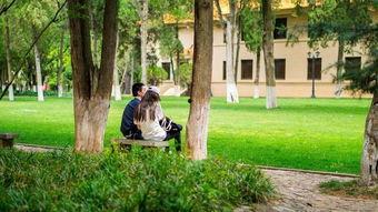 吃瓜视频资源大学长椅,吃瓜视频中的青春记忆角落