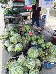 宿州苏宁吃瓜事件视频,一场网络热议的职场冲突揭秘