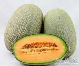 外星人吃哈密瓜视频,一场跨星际的味蕾冒险