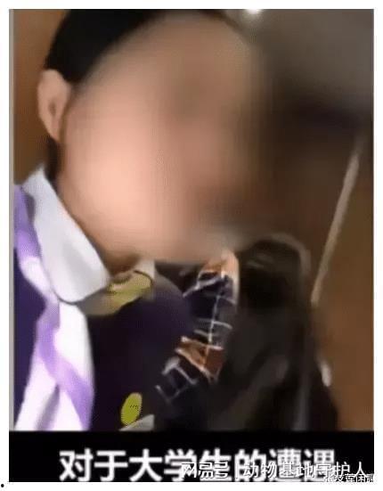 发疯吃瓜大妈视频下载,下载热潮席卷网络