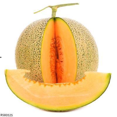 蚂蚱吃哈密瓜视频在线观看,跟随视频见证蚂蚱的美食之旅