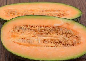 蚂蚱吃哈密瓜视频在线观看,跟随视频见证蚂蚱的美食之旅