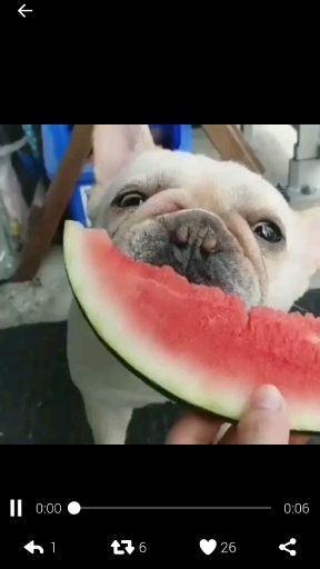 女子吃瓜群众聊天视频大全,揭秘娱乐圈幕后故事