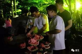 寿光司仪吃瓜事件视频完整版,一场网络狂欢背后的真相与反思